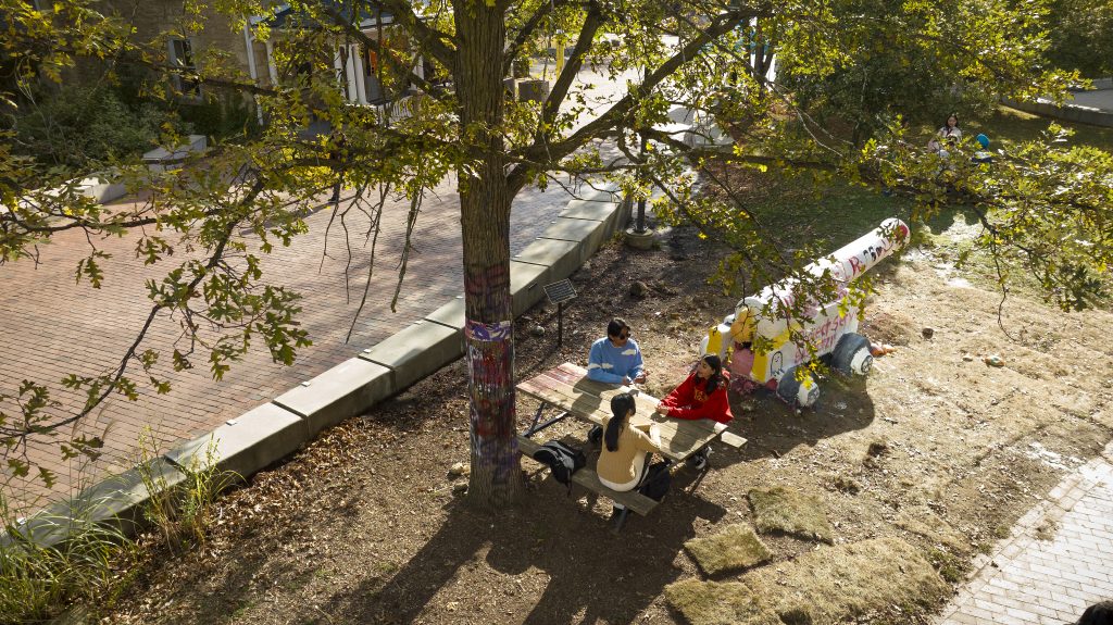 An aerial photo of the cannon. Students sit at a picnic table nearby.